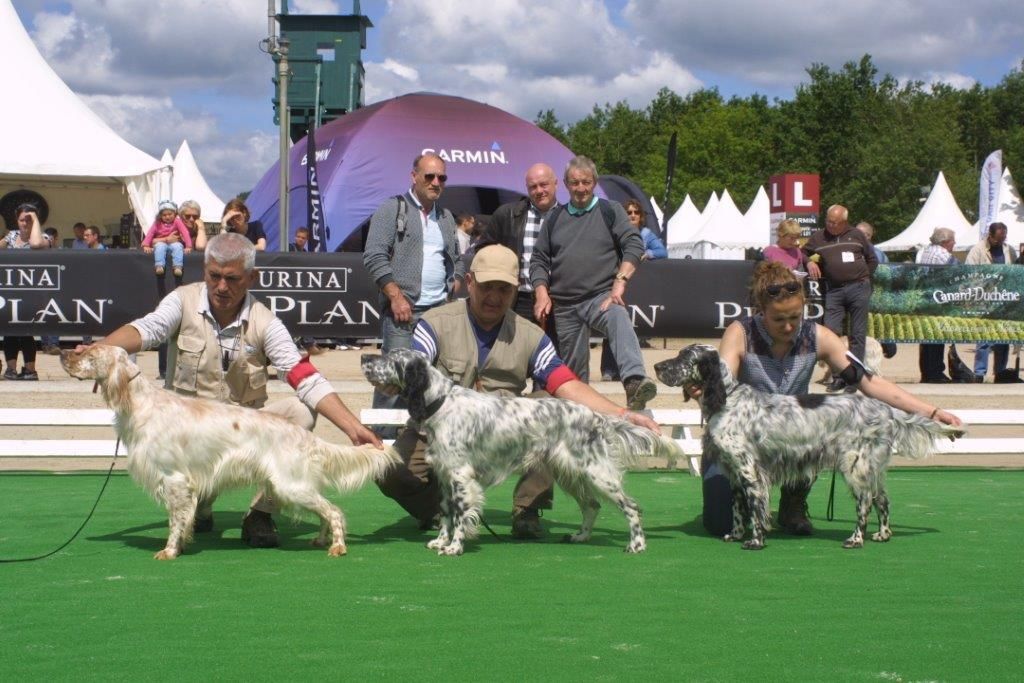 Du Domaine Baptiste - REGIONALE  LAMOTTE BEUVRON 18 juin 2016